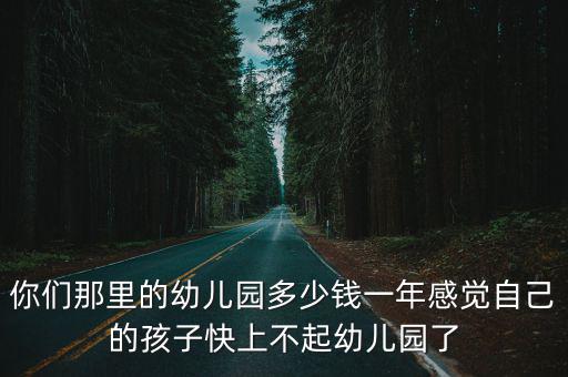 你們那里的幼兒園多少錢一年感覺自己的孩子快上不起幼兒園了