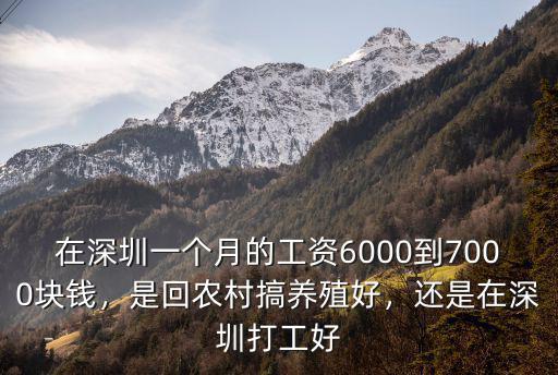 深圳荒村生意怎么樣,在深圳做什么生意好