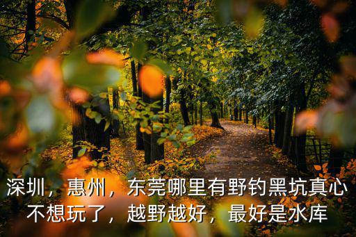 深圳，惠州，東莞哪里有野釣黑坑真心不想玩了，越野越好，最好是水庫
