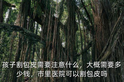 珠海包皮切除手術(shù)大概要多少錢,大概需要多少錢