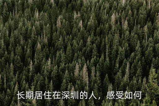 長期居住在深圳的人，感受如何