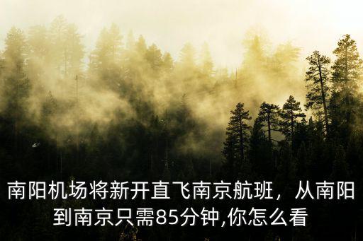 從南陽到南京的飛機票多少錢一張,從南陽到南京只需85分鐘