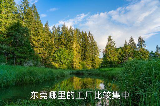 現(xiàn)在的中國哪里是東莞,東莞哪里的工廠比較集中