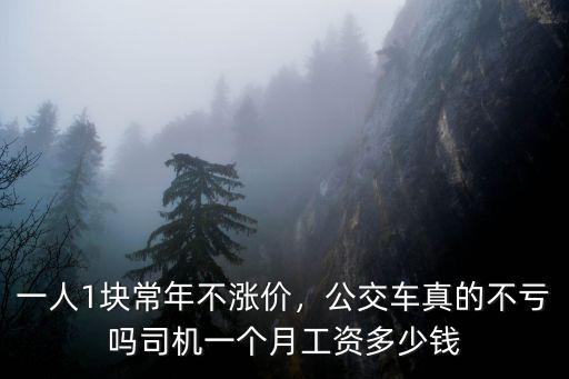 一人1塊常年不漲價(jià)，公交車真的不虧嗎司機(jī)一個(gè)月工資多少錢