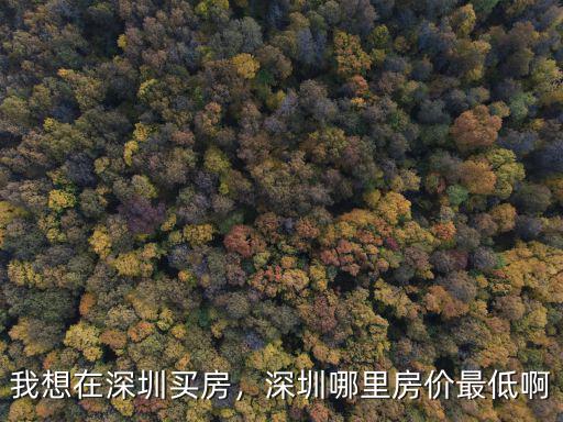 五年前深圳買房不知道在哪里,我想在深圳買房