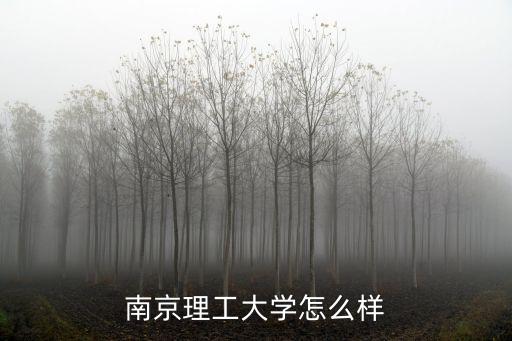南京理工大學怎么樣