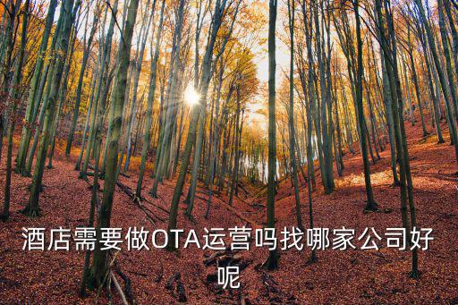 汕尾酒店ota代運營怎么做,怎樣做好酒店OTA代運營