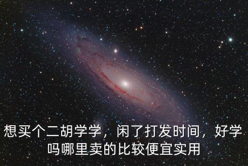 東莞哪里可以學二胡,哪里可以學二胡
