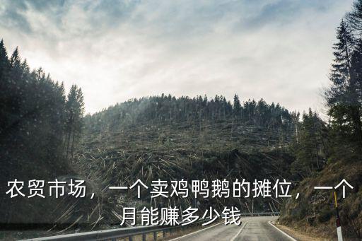 廣州市場(chǎng)怎么沒(méi)有雞鴨鵝賣呢,市場(chǎng)里常有雞鴨賣