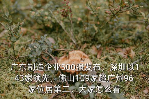 廣東制造企業500強發布，深圳以143家領先，佛山109家超廣州96家位居第二，大家怎么看