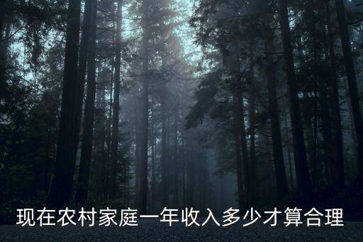 現在農村家庭一年收入多少才算合理