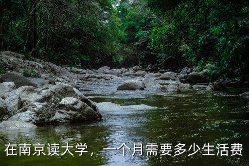 在南京讀大學，一個月需要多少生活費