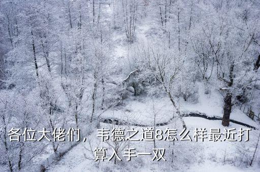 各位大佬們，韋德之道8怎么樣最近打算入手一雙