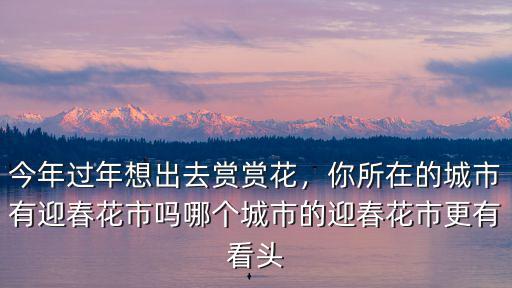 珠海多少個迎春花市,你所在的城市有迎春花市嗎