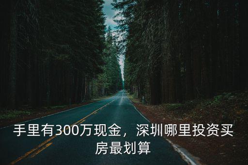 300萬現金深圳首套房買哪里,手里有300萬現金