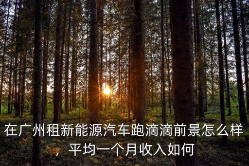 廣州快狗打車打車收入怎么樣,廣州快狗打車收入怎么樣