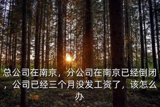 南京平均每天多少公司倒閉,分公司在南京已經倒閉