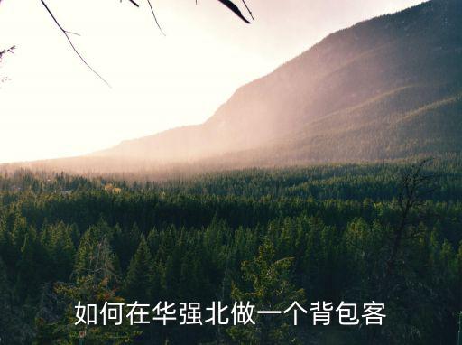 如何在華強北做一個背包客