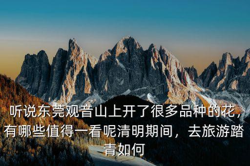 清明踏青去哪里東莞,大家準備去哪里踏青呢