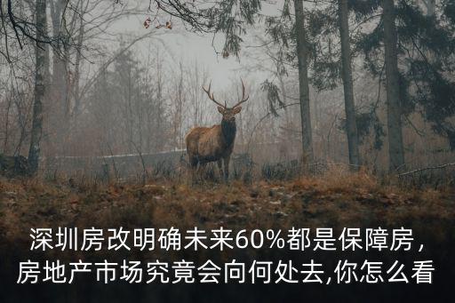 怎么看深圳房改新政,深圳住房制度改革