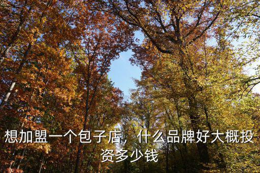 想加盟一個包子店，什么品牌好大概投資多少錢