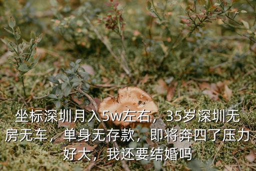深圳月入5萬有多少人,坐標深圳月入5w左右