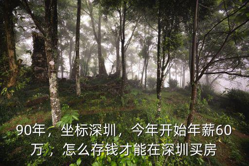 90年，坐標深圳，今年開始年薪60萬 ，怎么存錢才能在深圳買房