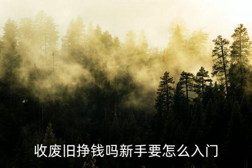 收廢舊掙錢嗎新手要怎么入門
