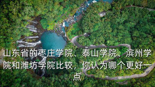 濱州學院有多少個院系,濱州學院和濰坊學院比較