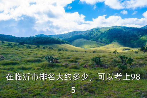濟(jì)寧地區(qū)排名多少可以上985,今年山東多少分能上985