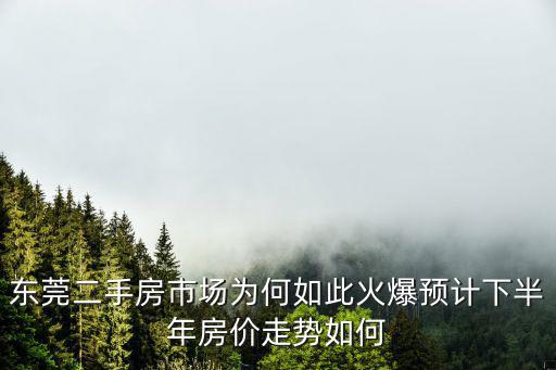 東莞二手房市場為何如此火爆預計下半年房價走勢如何