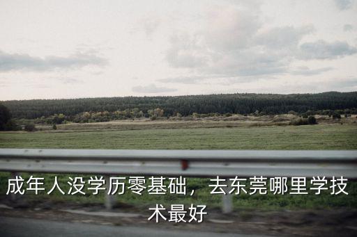 成年人沒學歷零基礎，去東莞哪里學技術最好