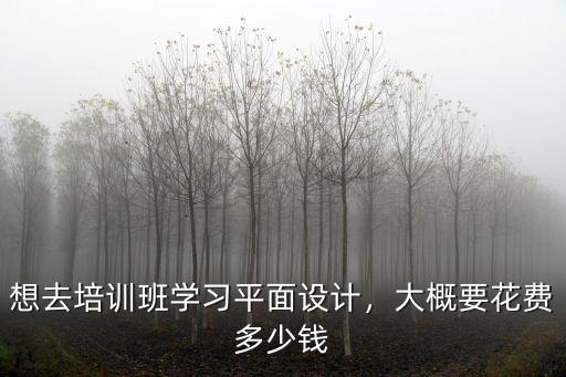 常州平面設(shè)計培訓(xùn)學(xué)費(fèi)多少,想去培訓(xùn)班學(xué)習(xí)平面設(shè)計