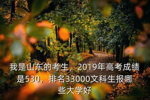 2019山東高考文科最高分是多少,2019年高考成績是530