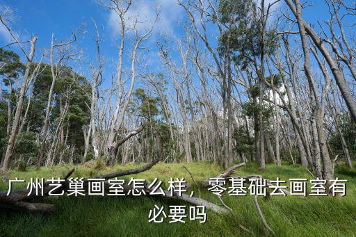 廣州市藝巢畫室怎么樣,廣州藝巢畫室怎么樣