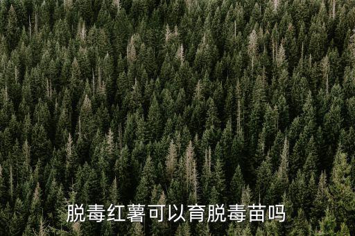 湛江哪里有脫毒西瓜紅薯苗,脫毒紅薯可以育脫毒苗嗎