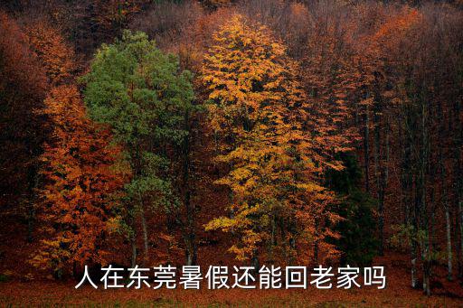 人在東莞暑假還能回老家嗎