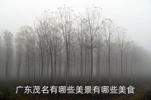 廣東省茂名有多少叫楊采芳,廣東省有幾個市
