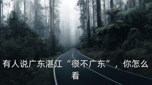 有人說廣東湛江“很不廣東”，你怎么看
