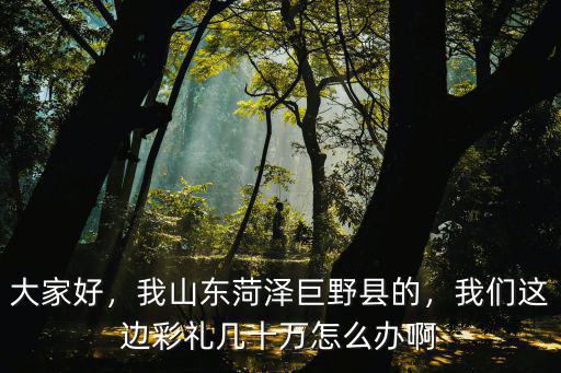 山東菏澤巨野于官屯村多少人,山東菏澤的人
