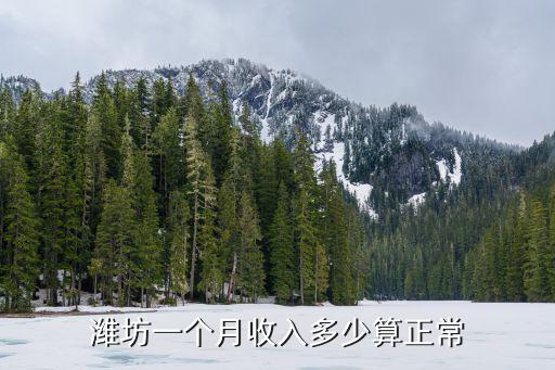 濰坊一年稅收多少錢,濰坊一個月收入多少算正常