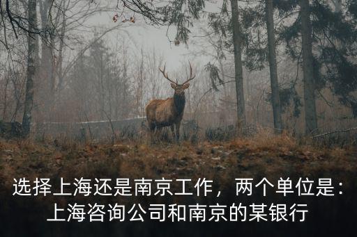 選擇上海還是南京工作，兩個(gè)單位是：上海咨詢公司和南京的某銀行