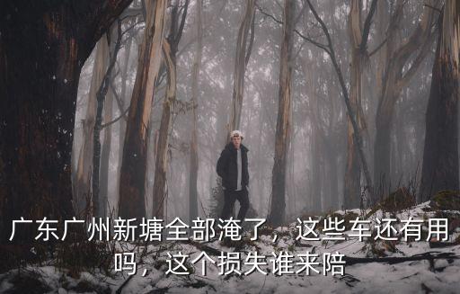 廣州昨天有多少車被水淹了,廣州暴雨后車被水淹了