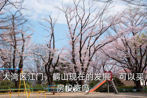 大灣區江門，鶴山現在的發展，可以買房投資嗎