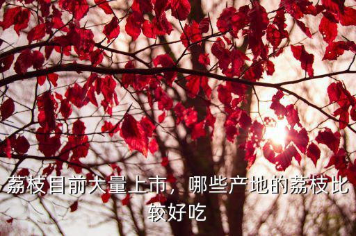廣東哪里產的荔枝最好吃,荔枝的產地在哪里