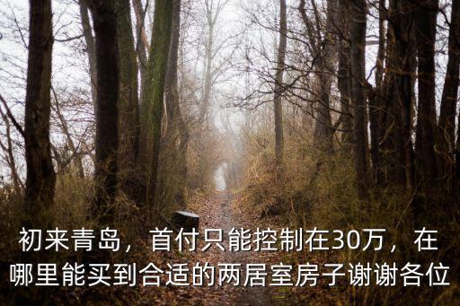 青島房價首付多少萬,首付只能控制在30萬