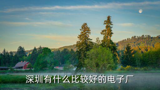 深圳大王山哪里有好廠,深圳有什么比較好的電子廠