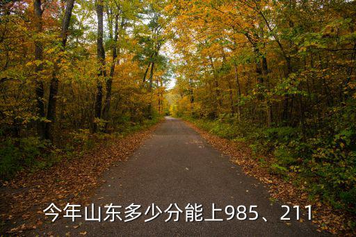 今年山東多少分能上985、211