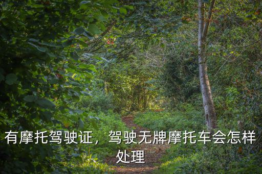 惠州摩托車無牌有駕駛證罰款多少,駕駛無牌摩托車會怎樣處理