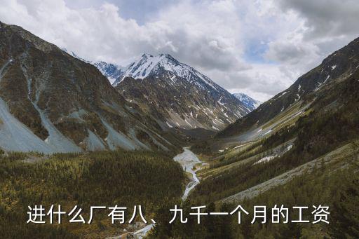 進什么廠有八、九千一個月的工資